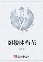 閣樓沐櫛花在線閱讀