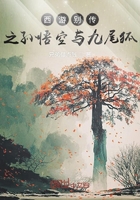 西游之孙悟空与九尾狐在线阅读