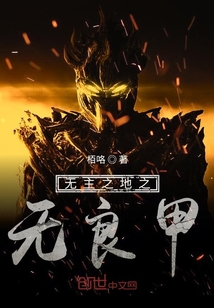 無主之地之無良甲