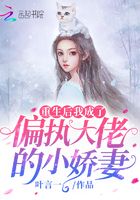 重生后我成了偏执大佬的小娇妻在线阅读