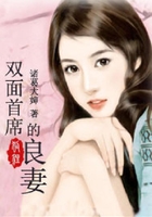 雙面首席的良妻在線閱讀
