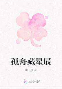孤舟藏星辰