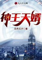 神王天婿在線閱讀