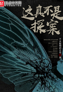 這真不是探案