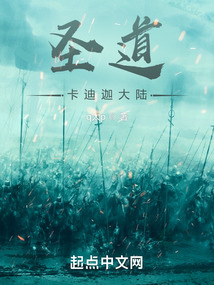 圣道：卡迪迦大陸