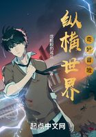 纵横世界奇妙冒险