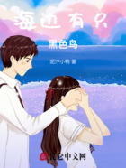 海邊有只黑色鳥在線閱讀