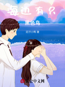 海邊有只黑色鳥(niǎo)