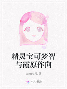 精灵宝可梦智与霞原作向