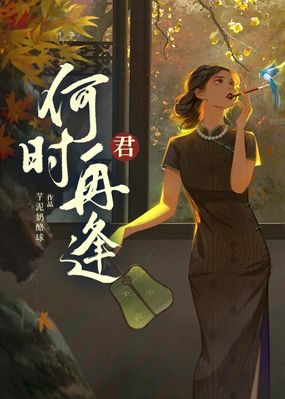 何时再逢君在线阅读