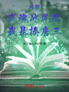 斗罗:武魂冰凤凰,我武魂殿圣子在线阅读
