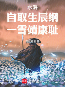 水浒：自取生辰纲，一雪靖康耻