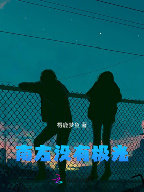 南方没有极光在线阅读