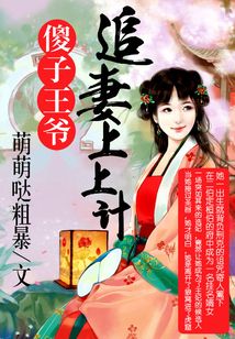 傻子王爺：追妻上上計