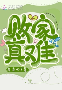敗家真難
