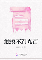 触摸不到光芒在线阅读