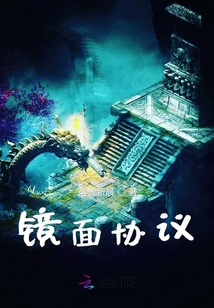 鏡面協議