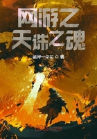 網游之天誅之魂在線閱讀