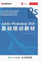 Adobe Photoshop 2020基础培训教材