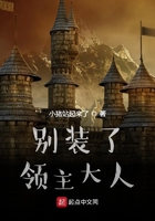 別裝了，領主大人在線閱讀