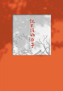 记不住的日子