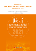 陕西宏观经济发展报告2021：陕西基本实现现代化的路径在线阅读