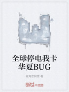全球停電我卡華夏BUG在線閱讀