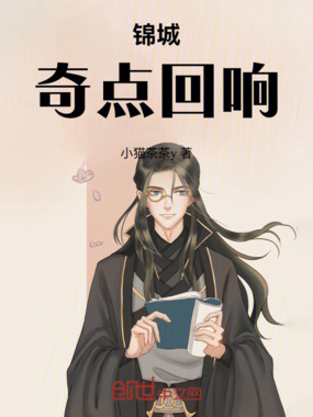 锦城：奇点回响在线阅读