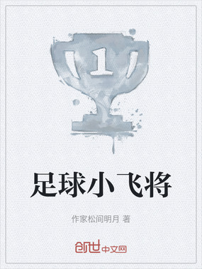 足球小飞将在线阅读