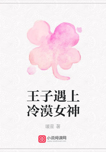 王子遇上冷漠女神
