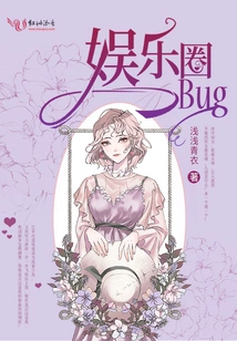 娱乐圈bug 封面