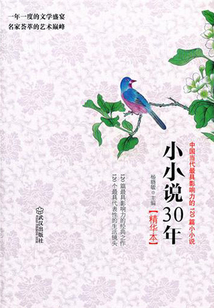 小小說30年精華本：中國當(dāng)代最具影響力的120篇小小說