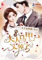四爺，夫人馬甲又掉了！在線閱讀