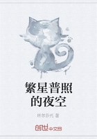 繁星普照的夜空