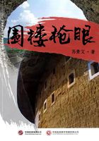 圍樓槍眼在線閱讀