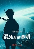 混沌后的黎明在线阅读