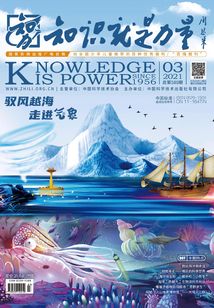 知識就是力量（2021年第3期）