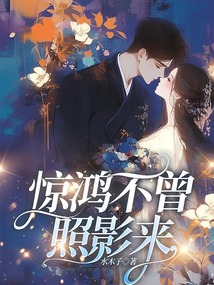 驚鴻不曾照影來