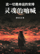 这一切是命运的安排,灵魂的呐喊在线阅读