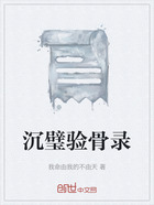 沉璧验骨录在线阅读