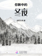 你眸中的冬夜在线阅读