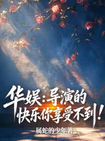 华娱：导演的快乐你享受不到！（）在线阅读
