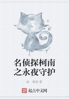 名侦探柯南之永夜守护