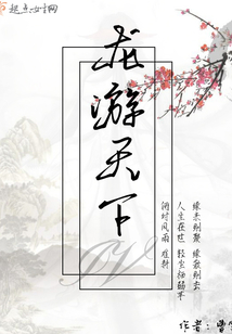 龍游天下IV