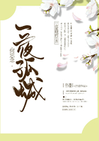 一夜孤城何忘念在線閱讀