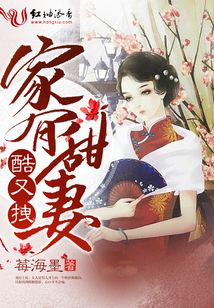 家有甜妻酷又拽