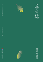 在云端:橡树的爱情