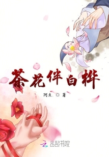 茶花伴白樺