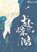 赴驚鴻在線閱讀