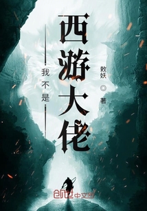 我不是西游大佬